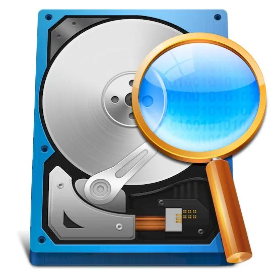 Disk Sorter Ultimate / Enterprise 16.2.14 + Pro + Portable